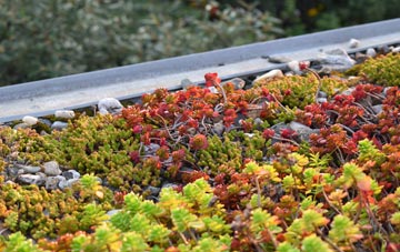 the cost of Craig Y Penrhyn green roof installation